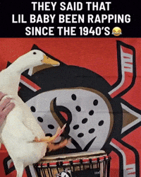 Baby Playing (Animated) meme template