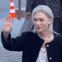 Cat Tongue (Animated) meme template