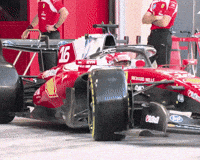 Charles Leclerc F1 (Animated) meme template