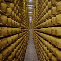 Cheese Milk GIF by Parmigiano Reggiano (Animated) meme template