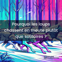 Communication Loups GIF by ExpliquePourquoi.com (Animated) meme template