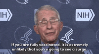 Fauci GIF by GIPHY News (Animated) meme template