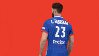 Ffhandball GIF by Fédération Française de Handball (Animated) meme template