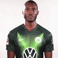 Go Home Reaction GIF by VfL Wolfsburg (Animated) meme template