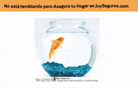 Home Earthquake GIF by Agente de Seguros y Fianzas JUY MEXICO (Animated) meme template