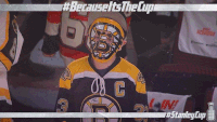 ice hockey GIF by NHL (Animated) meme template