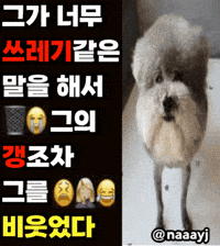 Instagram Statement (Animated) meme template