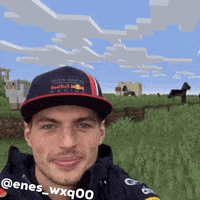 Max Verstappen F1 (Animated) meme template