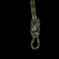Maxim Ropes GIF by Teufelberger (Animated) meme template