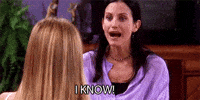 monica geller (Animated) meme template