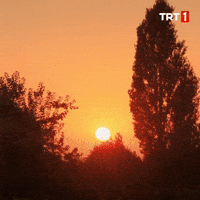 Mood Gun GIF by TRT (Animated) meme template