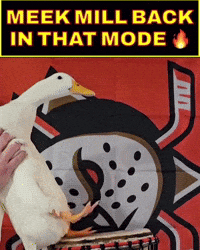 Nhl Ducks (Animated) meme template