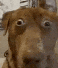 Oh No (Animated) meme template