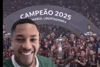 Palmeiras (Animated) meme template