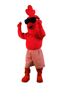 Pimba Bailarico GIF by grupolusiaves (Animated) meme template