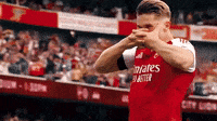 Premier League Celebration (Animated) meme template