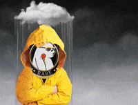 Rainy Day Nft GIF by SuperRareBears (Animated) meme template