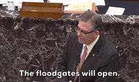 Senate Impeachment Trial GIF by GIPHY News (Animated) meme template
