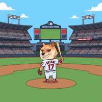 Shiba Inu Baseball GIF by Doge Pound (Animated) meme template