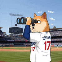 Shiba Inu Wow GIF by Doge Pound (Animated) meme template