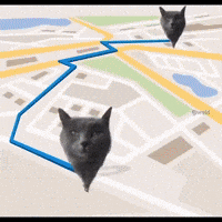 Staring Ice Cream (Animated) meme template