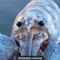 Symmetry Sym (Animated) meme template