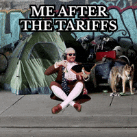 Tax Levy (Animated) meme template