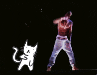 tupac shakur 2pac GIF by hoppip (Animated) meme template