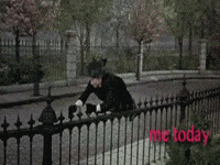 Windy Wednesday (Animated) meme template