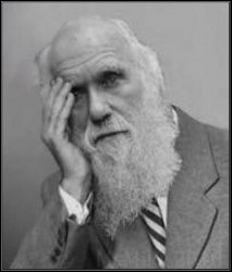 darwin facepalm meme template