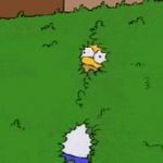 Homer disappears into bush meme template