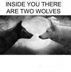 Inside you there are two wolves meme template