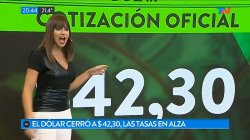 marcela pagano meme template