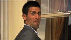 Novak Djokovic meme template