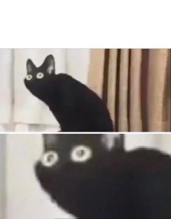 Oh No Black Cat meme template