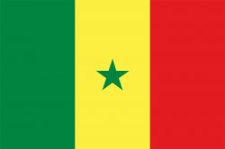 Senegall meme template