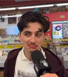 timothée chalamet meme template