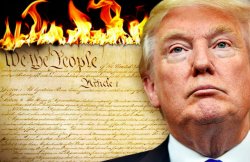 Trump and Republicans Burning the Constitution meme template